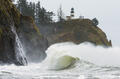 Cape Disappointment Curl print