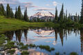 Mount Rainier - Tipsoo Dawn print