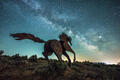 Wild Horse Gallop print