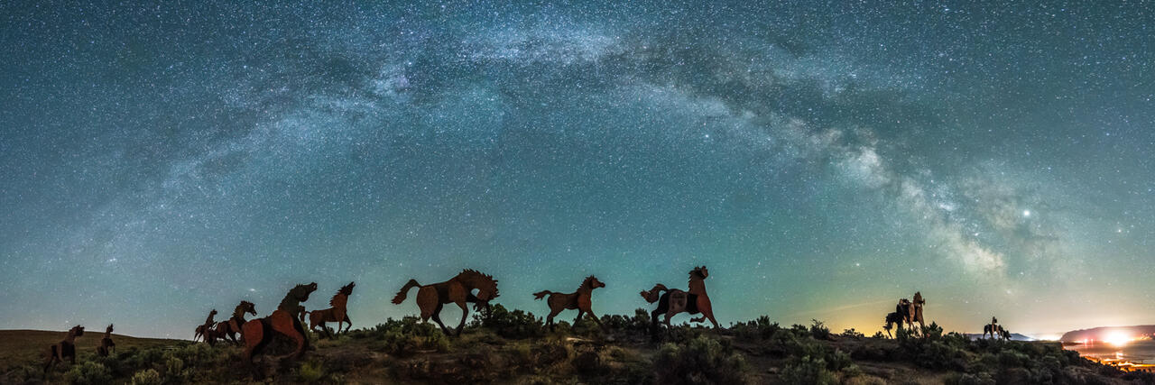 Wild Horses Stampede