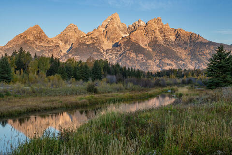 Schwabacher Landing Beaver Pond