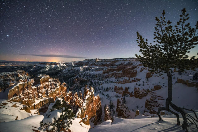 Bryce Canyon Moonlit Stars