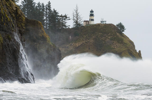 Cape Disappointment Curl