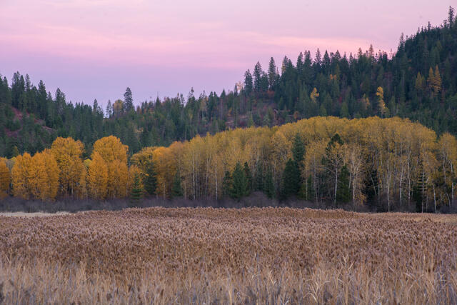 Cataldo Autumn Textures and Tones print