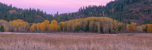 Cataldo Autumn Panorama print