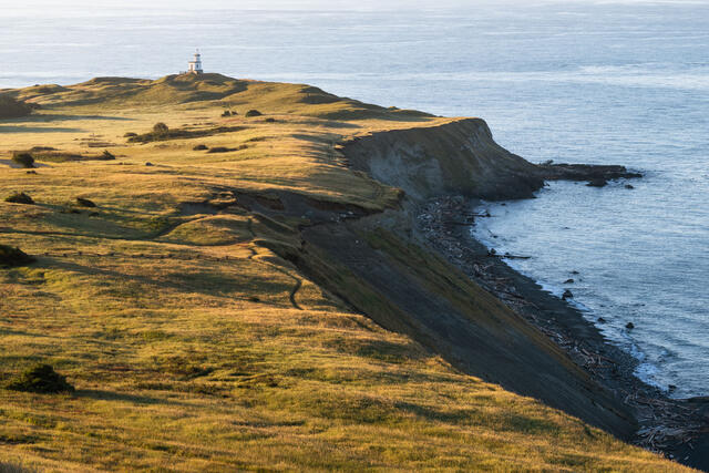 Cattle Point Morning Glow