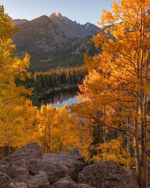 Rocky Mountain National Park, Rocky Mountains, autumn colors, fall colors, aspen, Colorado, Estes Park