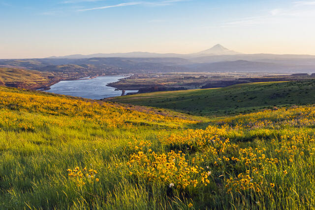 The Dalles Windy Spring print