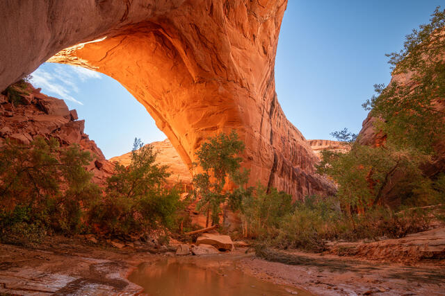 Jacob Hamblin Arch Big Pillar print