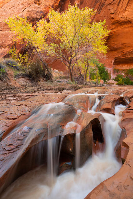 Fine art landscape photograph of Swiss Cheese Falls in Coyote Gulch near Escalante, Utah, showing red sandstone channels filled with flowing water after heavy r