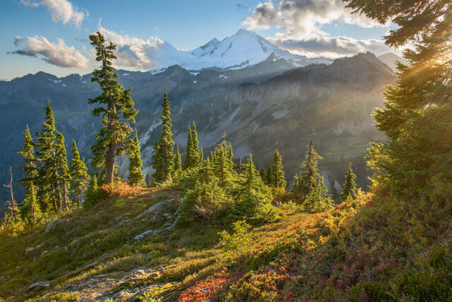 Mount Bake Autumn Light (Landscape)