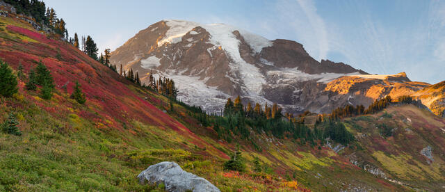 Mount Rainier Autumn Meadows print