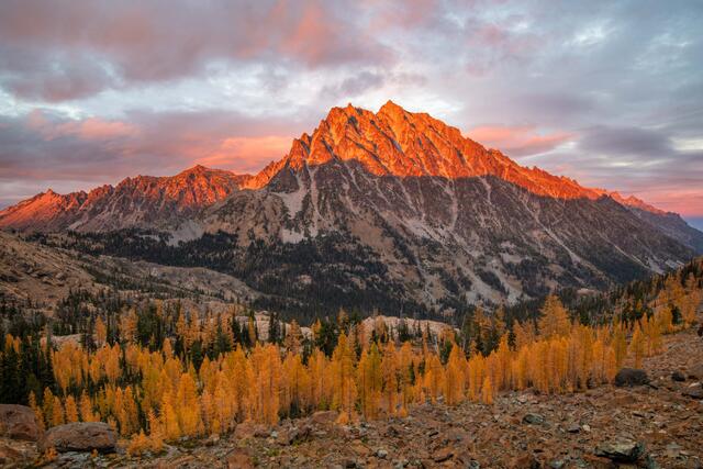 Lake Ingalls Trail - Mount Stuart Autumn Light print