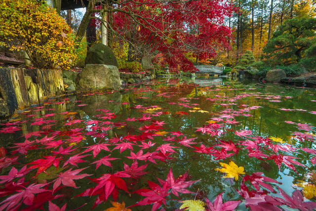 Autumn Afloat