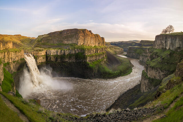 Palouse Falls with trees on the horizon.