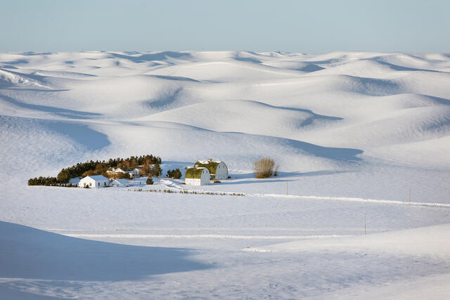Snow-covered hills around a Palouse farm and barns with green roofs.