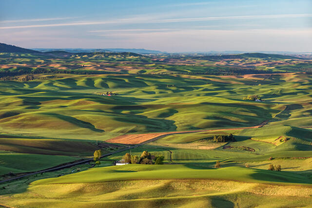 Palouse Hills Wide View
