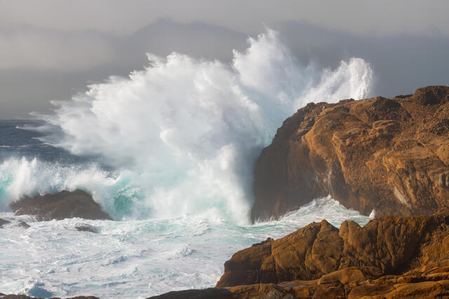 Point Lobos Crashing Wave