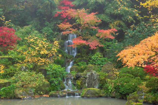 Portland Japanese Garden Waterfall (Landscape) print