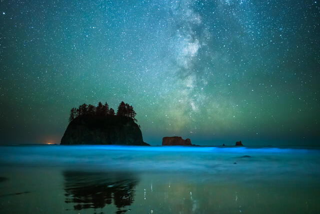 Second Beach Bioluminescence (2x3)