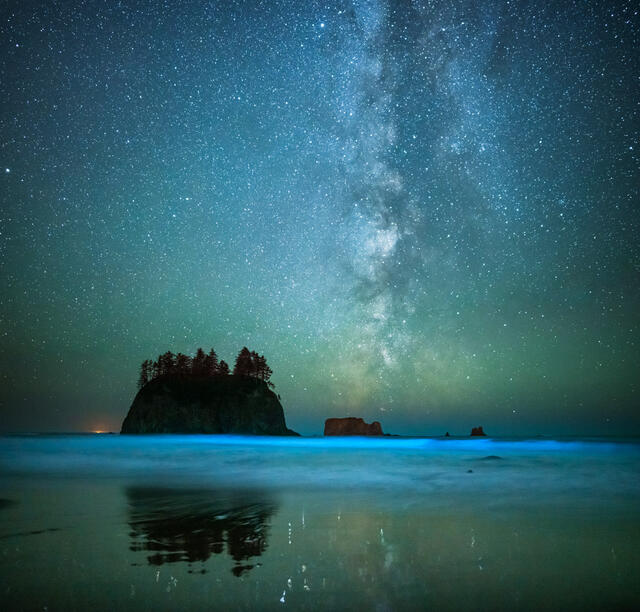 Bioluminescent waves in front of rock stacks at Second Beach in LaPush, Washington.