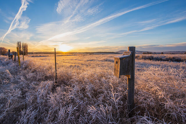 Spokane West Plains Frosty Morning