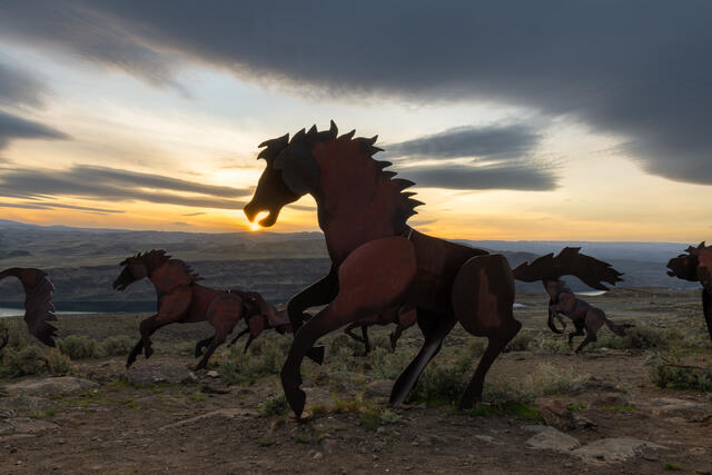 Wild Horses Monument Sunset