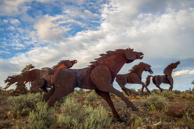 Wild Horses Monument Race