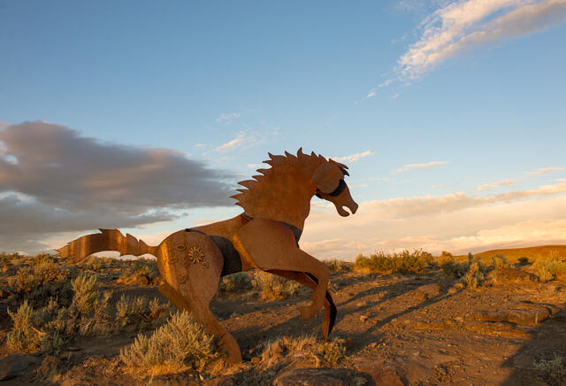 Wild Horses Monument Horizon