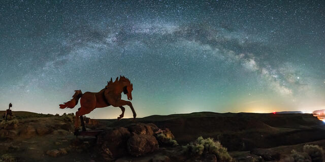 Milky Horse Under the Milky Way