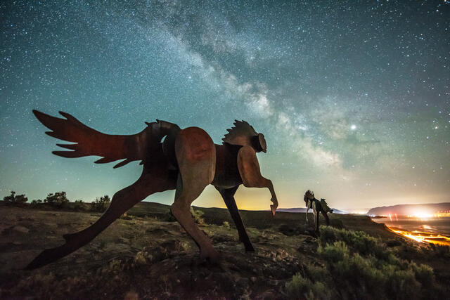 Wild Horse Into the Milky Way