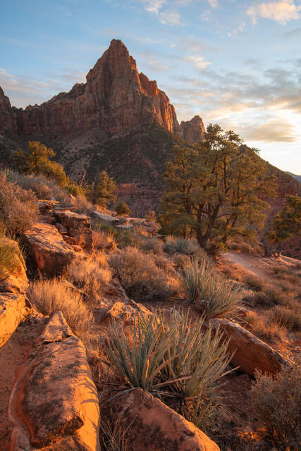 View From the Watchman Trail