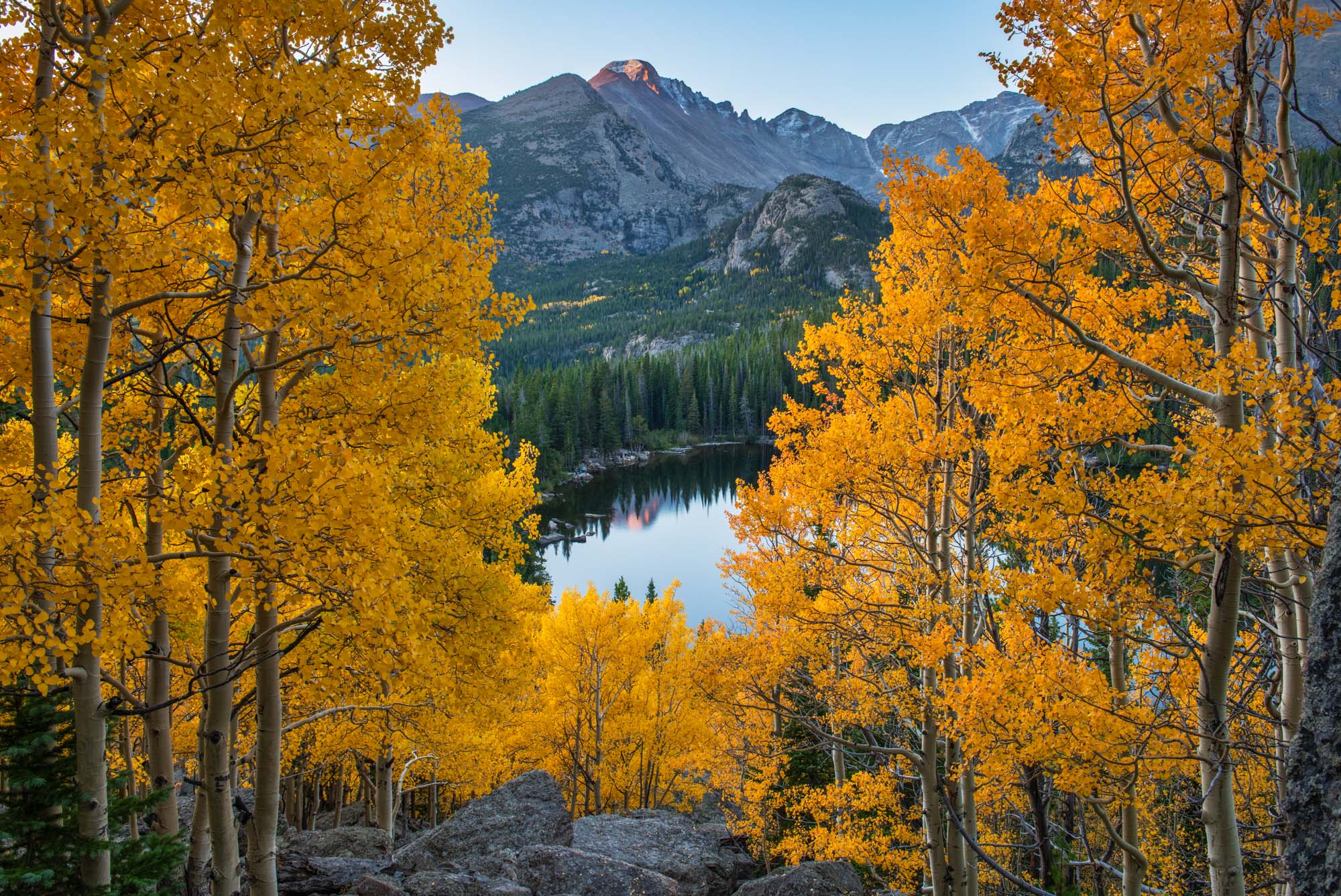 Rocky Mountain National Park, Rocky Mountains, autumn colors, fall colors, aspen, Colorado, Estes Park