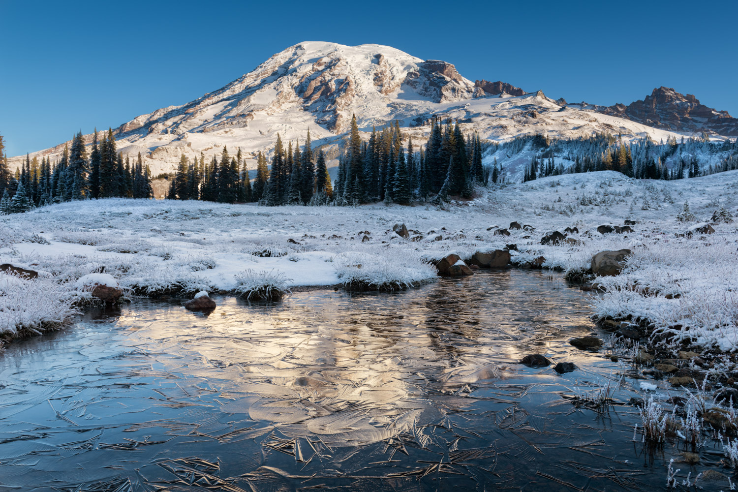 Mount Rainier - Icy Reflection