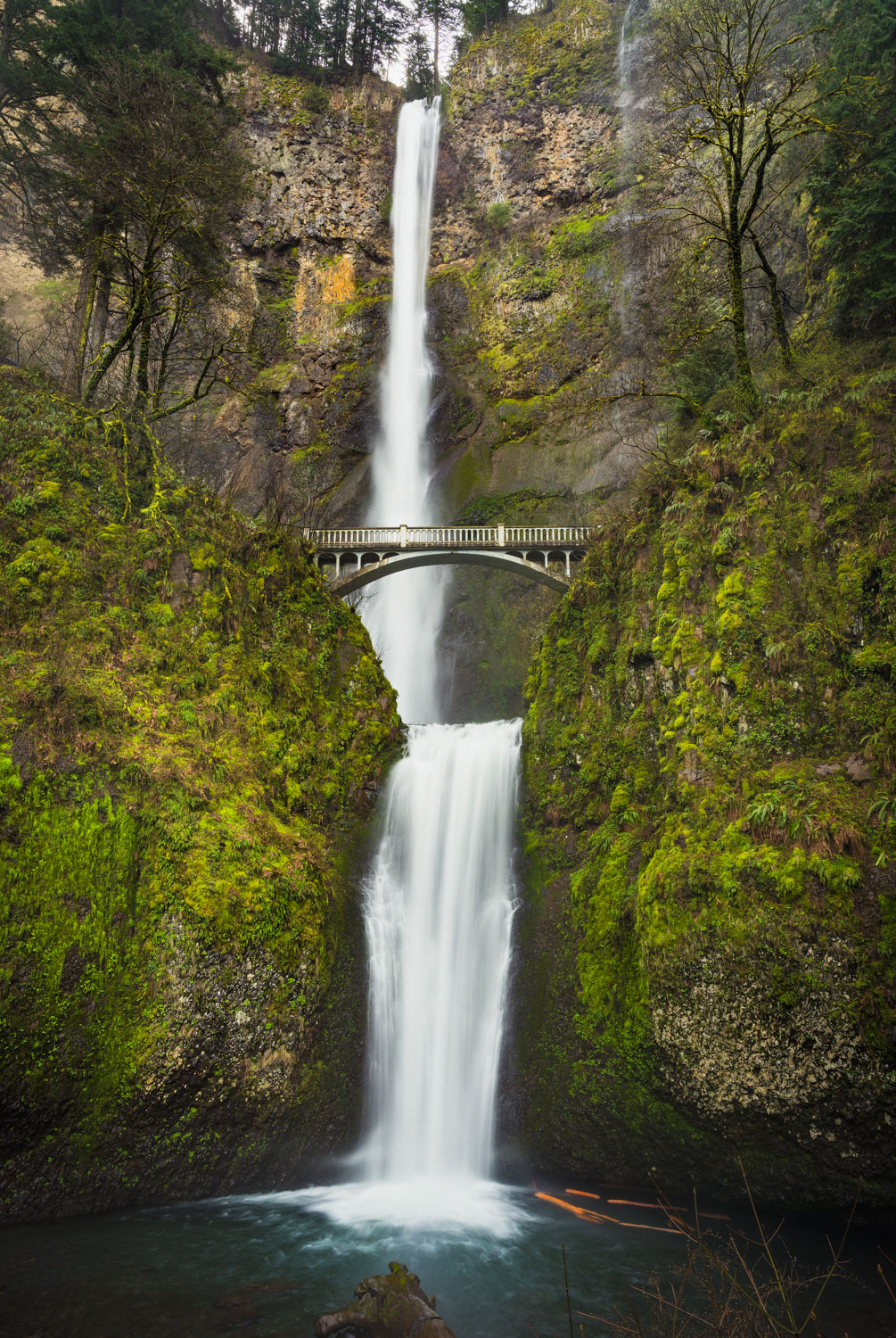 Multnomah Falls in spring surrounded by green mosses