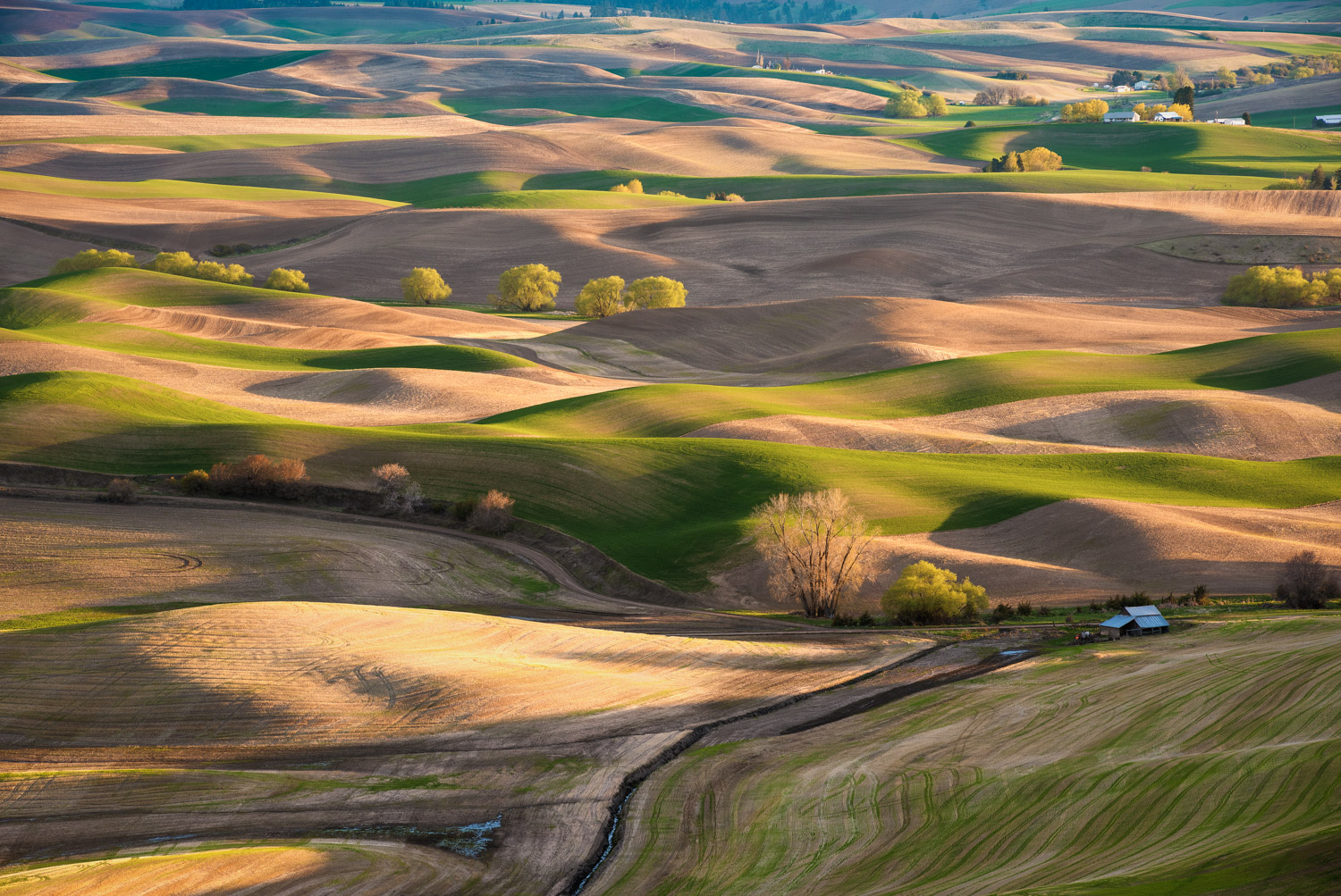 Early spring colors and contours at Steptoe Butte State Park in eastern Washington.