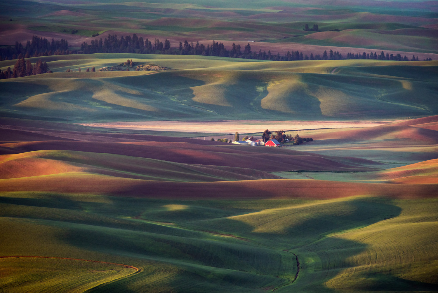 Colorful Palouse hills in eastern Washington as seen from Steptoe Butte State Park.