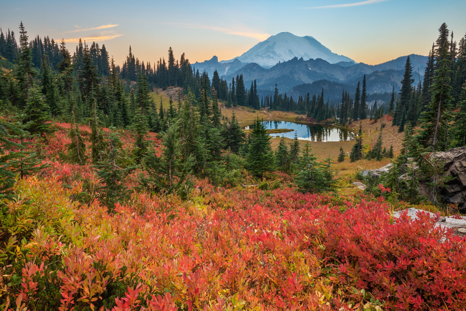 Autumn colors on hillside about Tipsoo Lake with Mount Rainier in the distance.
