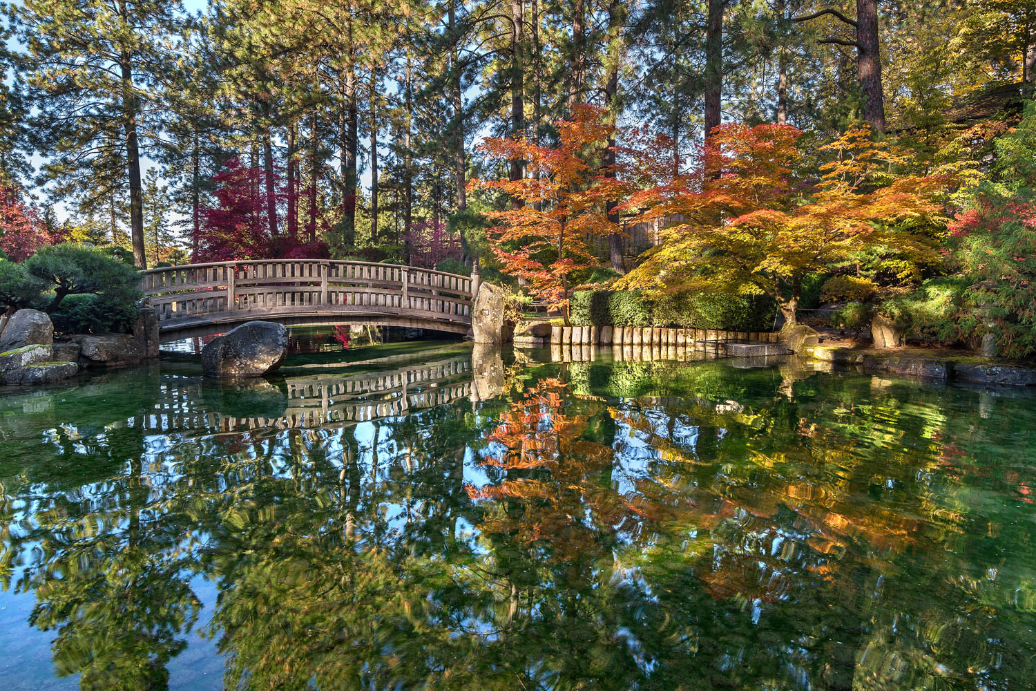 Fall colors at the Nishinomiya Japanese Garden in Spokane, Washington.
