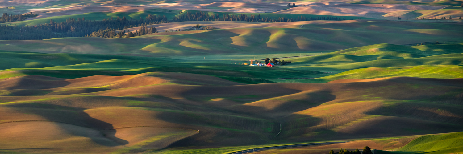 Palouse Early Spring Super Wide Panorama